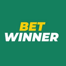 A Comprehensive Guide to Betwinner Partners