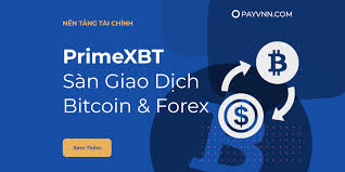 Understanding PrimeXBT Deposit A Comprehensive Guide