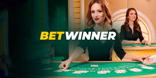 Experience the Thrills of Betwinner Casino