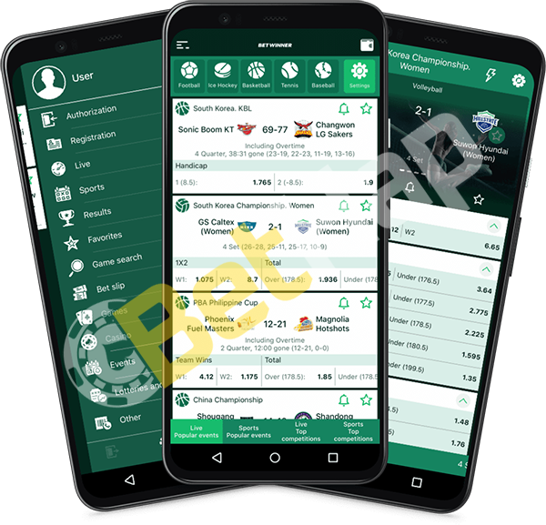 Experience the Thrills of Betwinner Casino