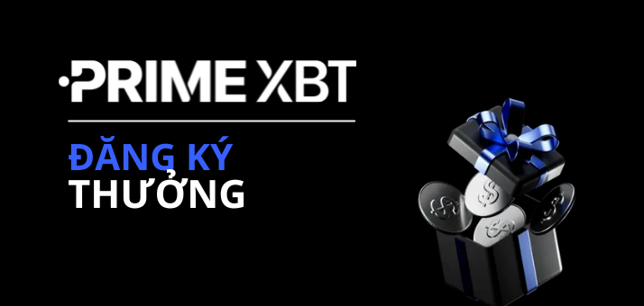 The Ultimate Guide to Trading on PrimeXBT Website